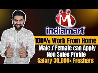Indiamart Jobs Work From Home Apply Now
