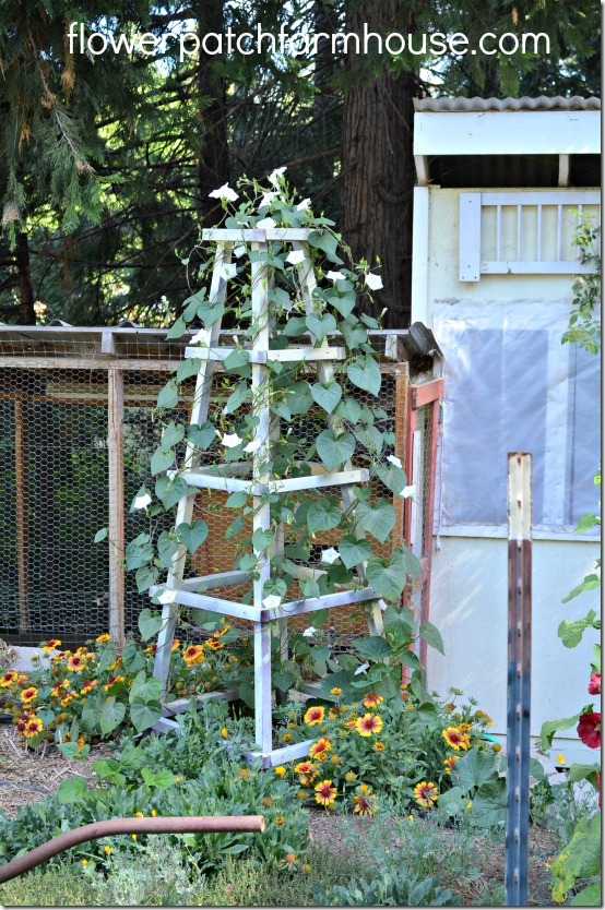 obelisk with morning glories