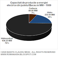 Surse de generare a energiei electrice din judetul Bacau in MW in anul 1989