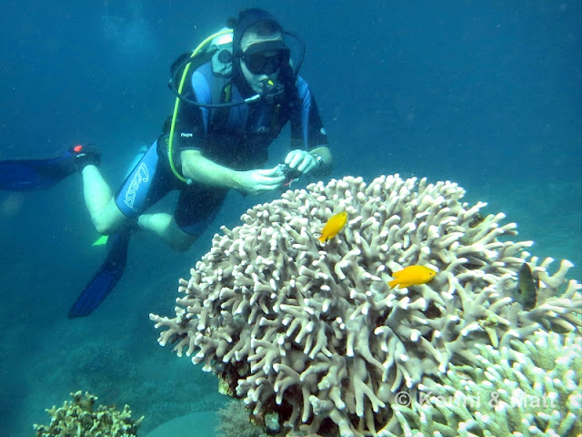 Scuba, photographer, Philippines