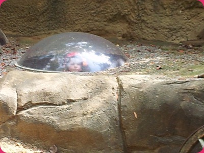 2012-10-05 11.54.26
