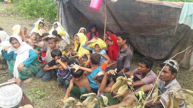 Sambut Iduladha, 30 Ribu Rohingya Terjebak di Hutan