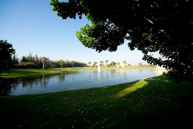 فلل للبيع في وادي النخيل بالطريق الصحراوي Wadi El Nakhil Compound