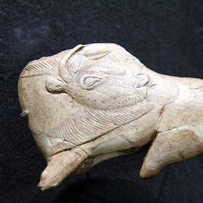 Bison licking its side from the Madeleine shelter on display at the National Museum of prehistory in  les Eyzies.