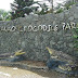 Discovering the Wonders of Davao Riverfront Crocodile Park and Zoo: A Must-Visit Destination in Mindanao, Philippines