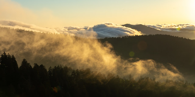 Clingmans Dome Sunrise, Great Smoky Mountains National Park