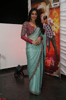 Regina Casandra in Lovely Beautiful saree Stunning Pics ~  Exclusive 31.JPG