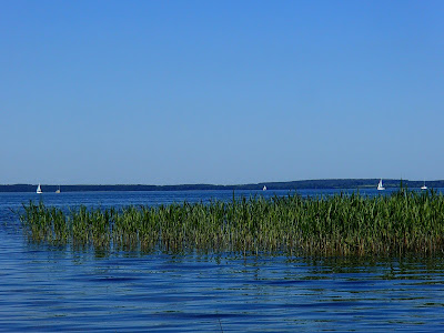 Popielno, Niedźwiedzi Róg, Głodowo, Śniardwy, żeglowanie, żeglarstwo, port, dania rybne