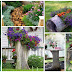 10 Ways to Spice up Your Yard with a Tree Stump
