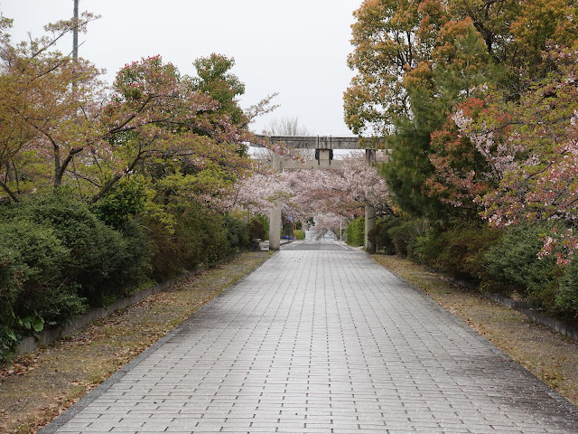 鳥取県西伯郡大山町名和　名和神社　参道