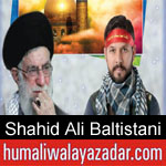 https://www.humaliwalyazadar.com/2018/08/shahid-ali-baltistani-nohay-2019.html