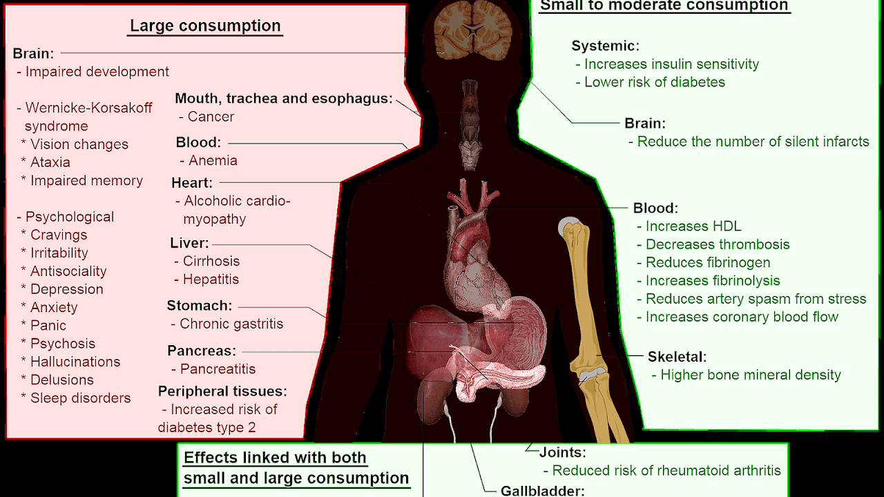 Long Term Effects Of Alcohol On The Heart