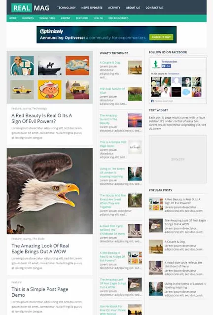 10 Best Free Magazine Blogger Templates in 2021