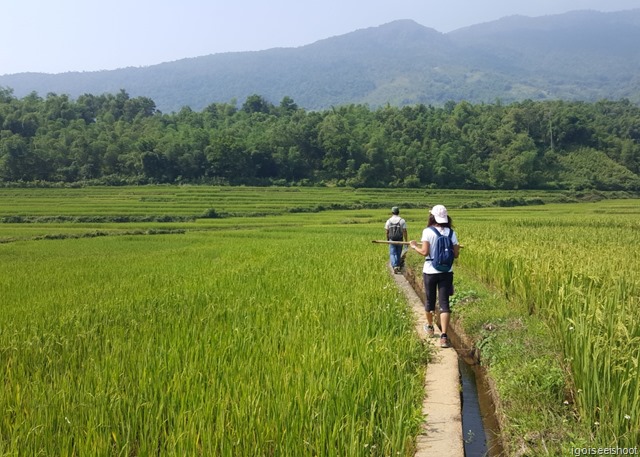 Hiking in PU Luong, near Kho Muong village