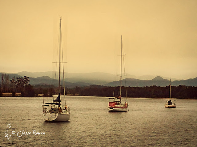 Moruya River