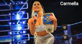 30 best wwe female wrestler in the world.