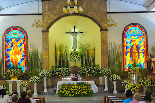 Sta. Teresa de Avila Parish - Carles, Iloilo