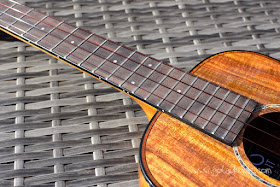 World Of Ukes Pioneer T1 Tenor Ukulele fingerboard