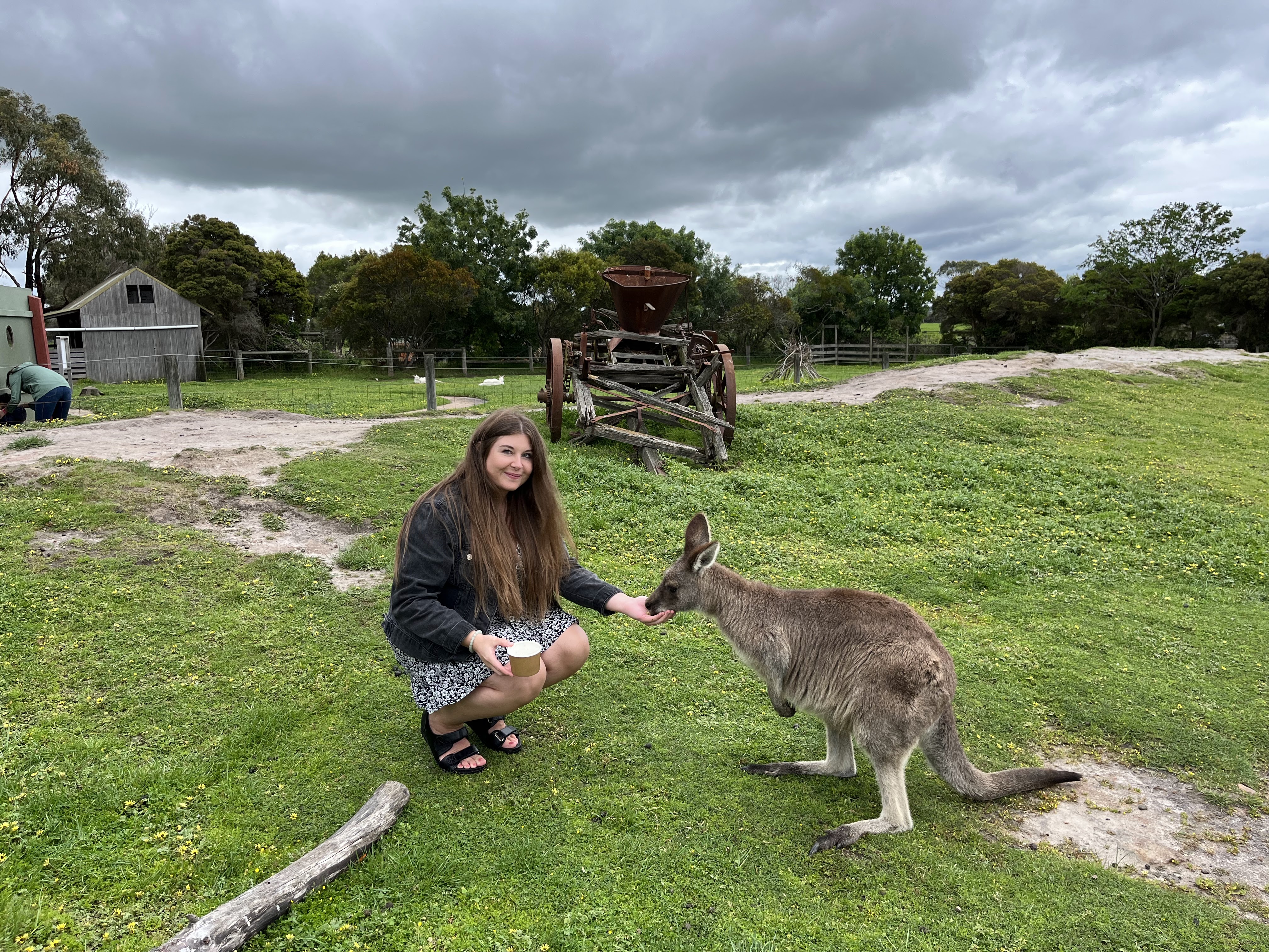 Grace feeding a single kangaroo