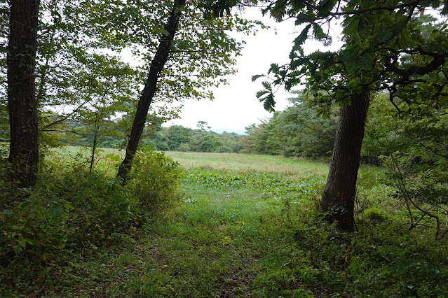 鳥取県西伯郡伯耆町小林　鳥取県道284号大山寺岸本線沿いの小路