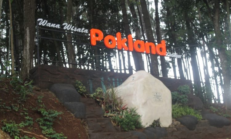 Pokland, Tempat Wisata Hutan Pinus Kekinian di Cianjur