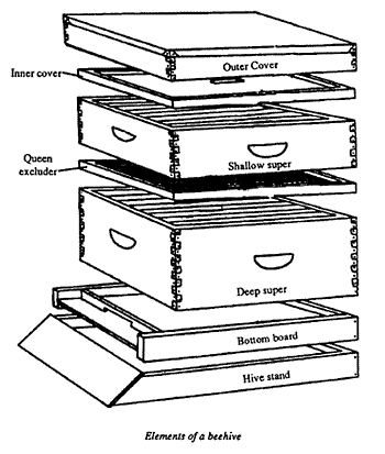 Honey Bee Hive Plans