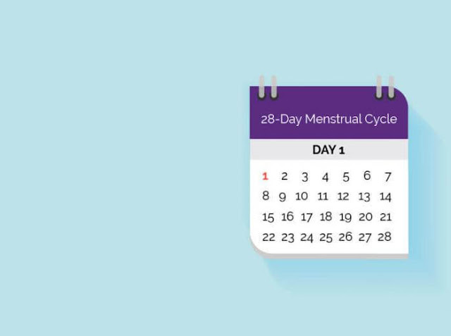 contemplate Your Monthly Cycle
