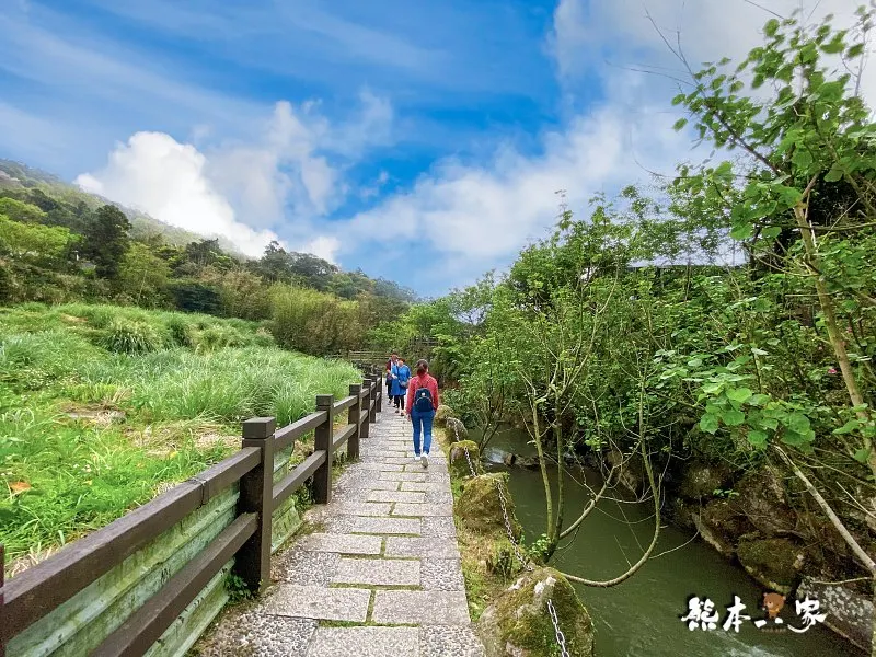 海芋大道｜海芋賞花步道