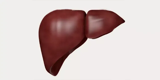 رؤيا الكبد في المنام