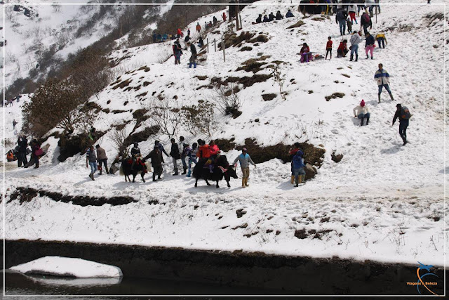 Tsomgo Lake em Sikkim, na Índia