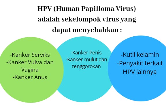 vaksinasi hpv