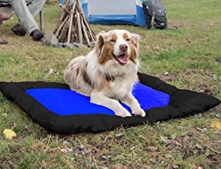 Top 10 best pet beds for dogs in india 2020