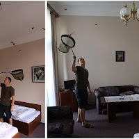 Pelancong terkejut lebih 250 kelawar tumpang tidur dalam bilik hotel