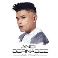 Lirik Lagu Andi Bernadee - Satu Peluang