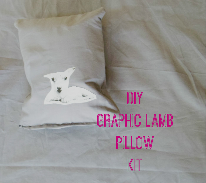 http://alicianeversleeps.blogspot.com/2014/03/diy-graphic-lamb-pillow.html