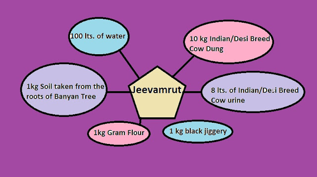 Organic-Fertilizer-Jeevamrut preparation