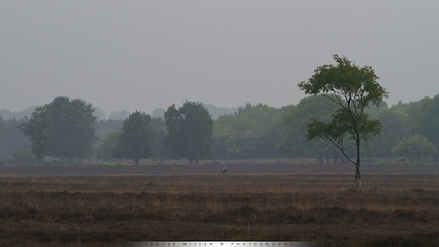 Een eenzame fietser waagt zich buiten - Lonely biker doesn't mind the weather