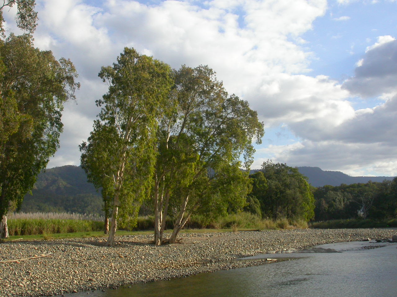 The first of many river crossings on the way the Hatton-Finch Gorge