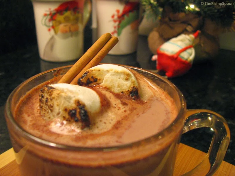 Homemade Spicy Hot Chocolate with Cacao Powder