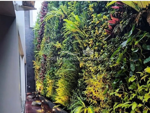 Jasa Vertical Garden Kotabaru Profesional - Pembuatan Taman Vertikal Tanaman Asli