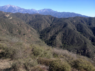 View northeast toward Little Dalton Canyon, Glendora Mountain Road, and the Baldy high country from Glendora Mountain, Angeles National Forest