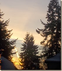 DSCN2086
