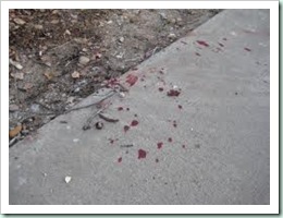 bloodtrail