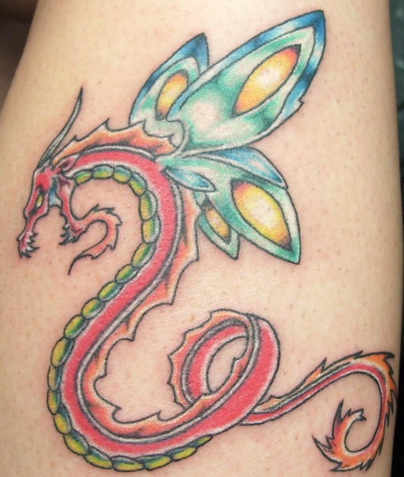 Girly dragon with butterfly wings tattoo