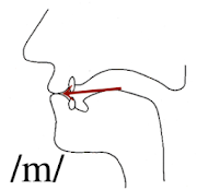 Nasal sounds /m/, /n/and/ᶇ/ 