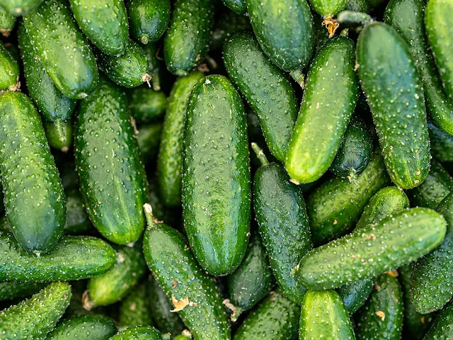 Cucumber (Kheera) – Hydration Hero