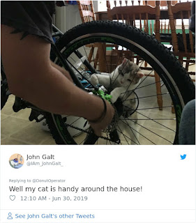 Este hombre provocó una batalla entre otros dueños de gatos después de decir que su gato era más lindo que el de cualquier otra persona