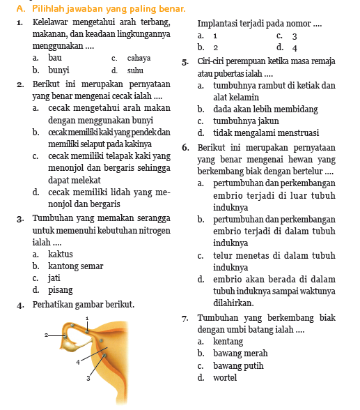 Soal UAS I IPA Kelas 6  SAINS SD