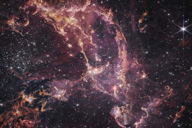 James Webb observa la galaxia Pequeña Nube de Magallanes donde ocurre formación de nuevas estrellas