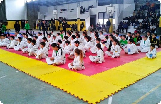 Se realizó el 2º Encuentro de Iniciación y Desarrollo Deportivo de Taekwondo Olímpico en Las Toninas